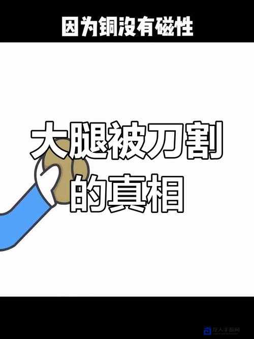 尖叫预警！知趣竞猜剧中三根刀片的真相，看完跪了！