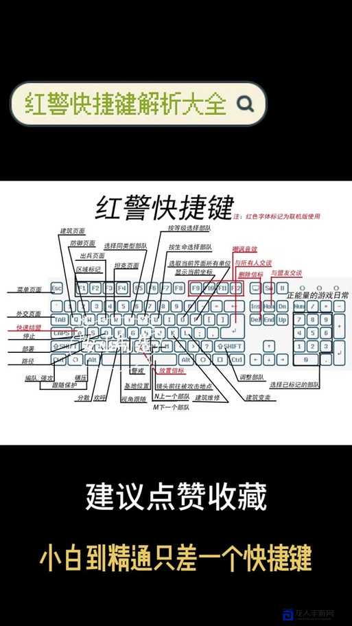 红色警戒3多开教程！手残党秒变高手的保姆级攻略🔥