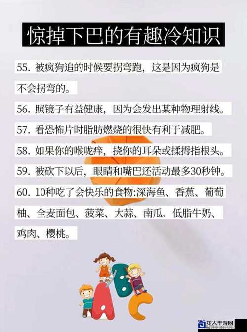 东印度公司秘籍曝光！这些冷知识让我惊掉了下巴