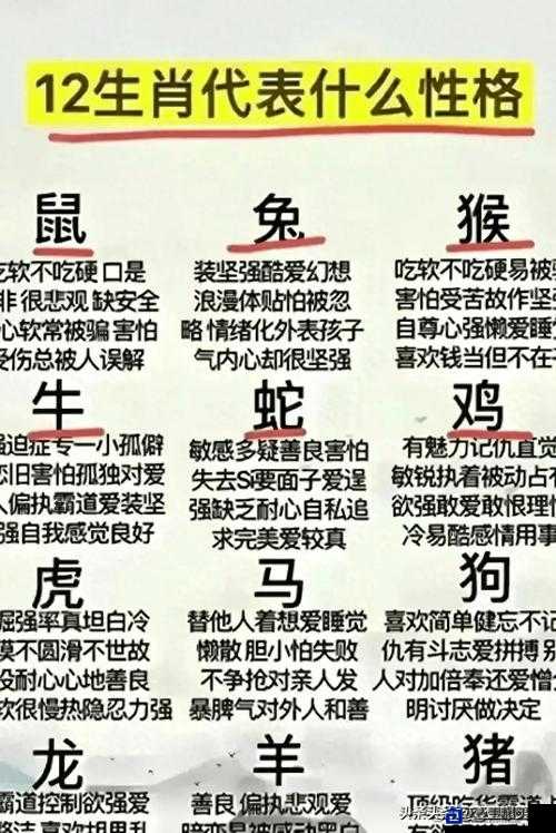 2013年到底是什么年？揭开这个生肖年的神秘面纱！