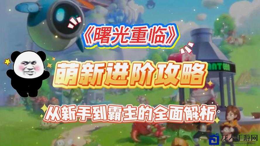 Towns新手必看！5天从萌新到大神的神级攻略，玩法全解析！
